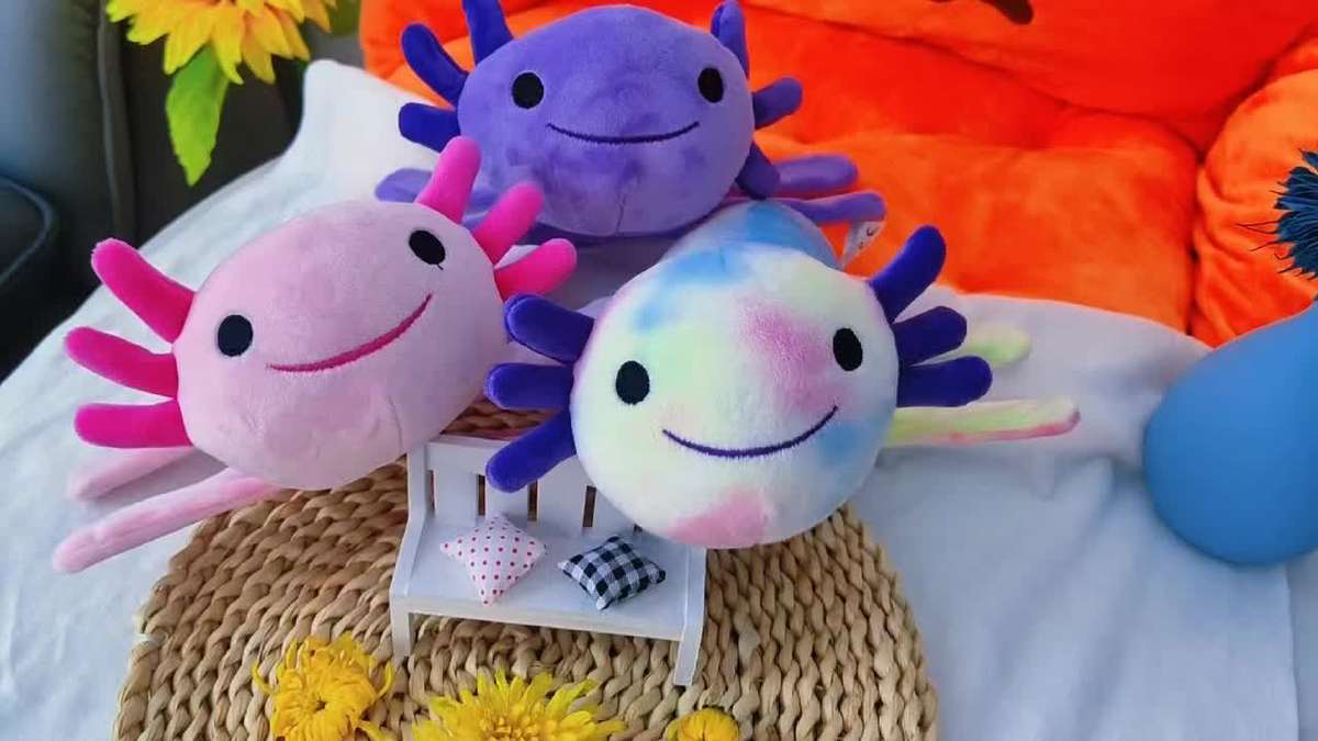 Plush Toyss color Bracelet purple size 18cm