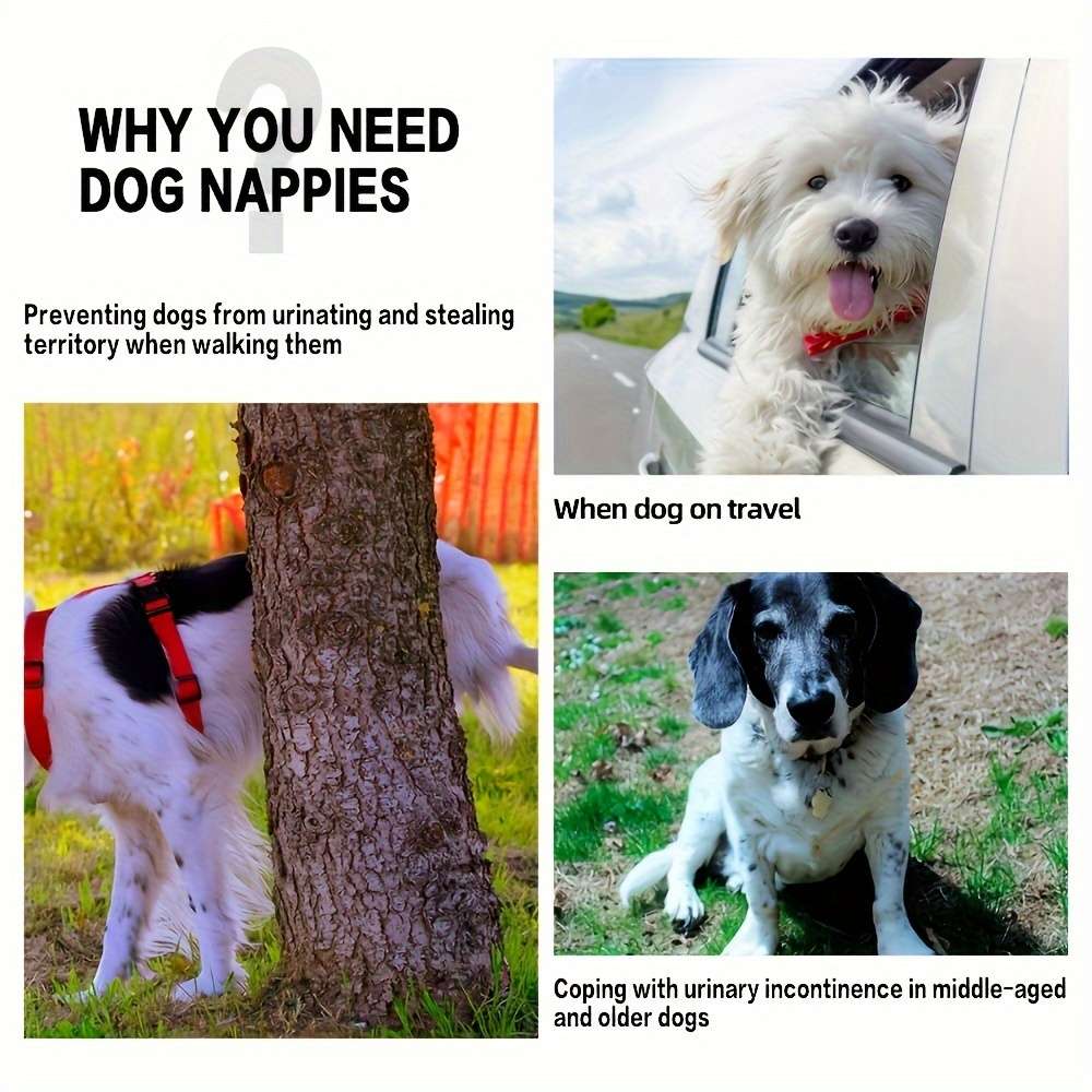 Pet supplies color 5Pcs Blue size L