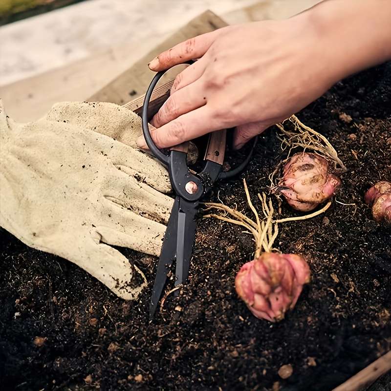 Scissors Style Branch Cutter