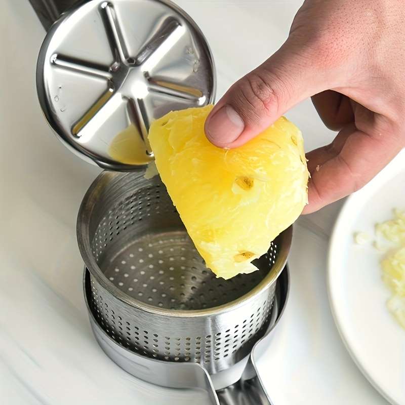 Juicer Color Stainless Steel