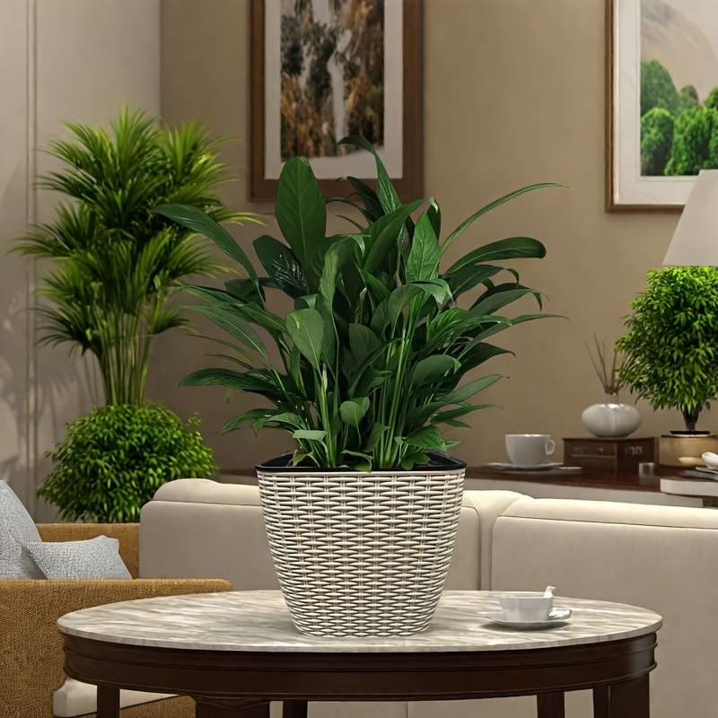 Flowerpot Quantity 2Pcs Small