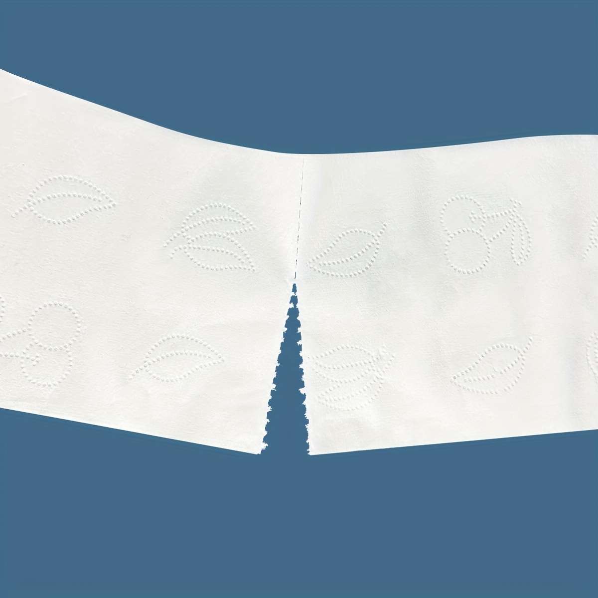 Toilet Paper Quantity 2Pcs