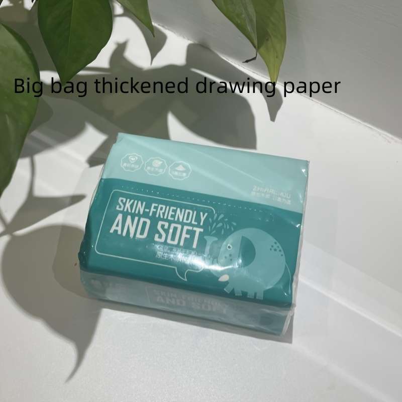 Toilet Paper Quantity 1 Pack 300 Sheets