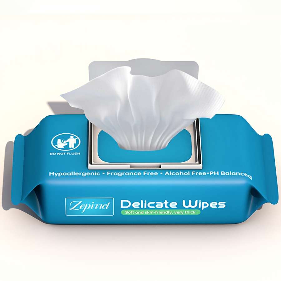 Wet Wipes Quantity 2Packs