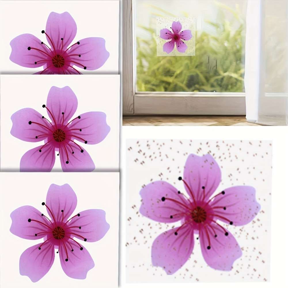 Fruit Fly Traps Quantity 6Pcs