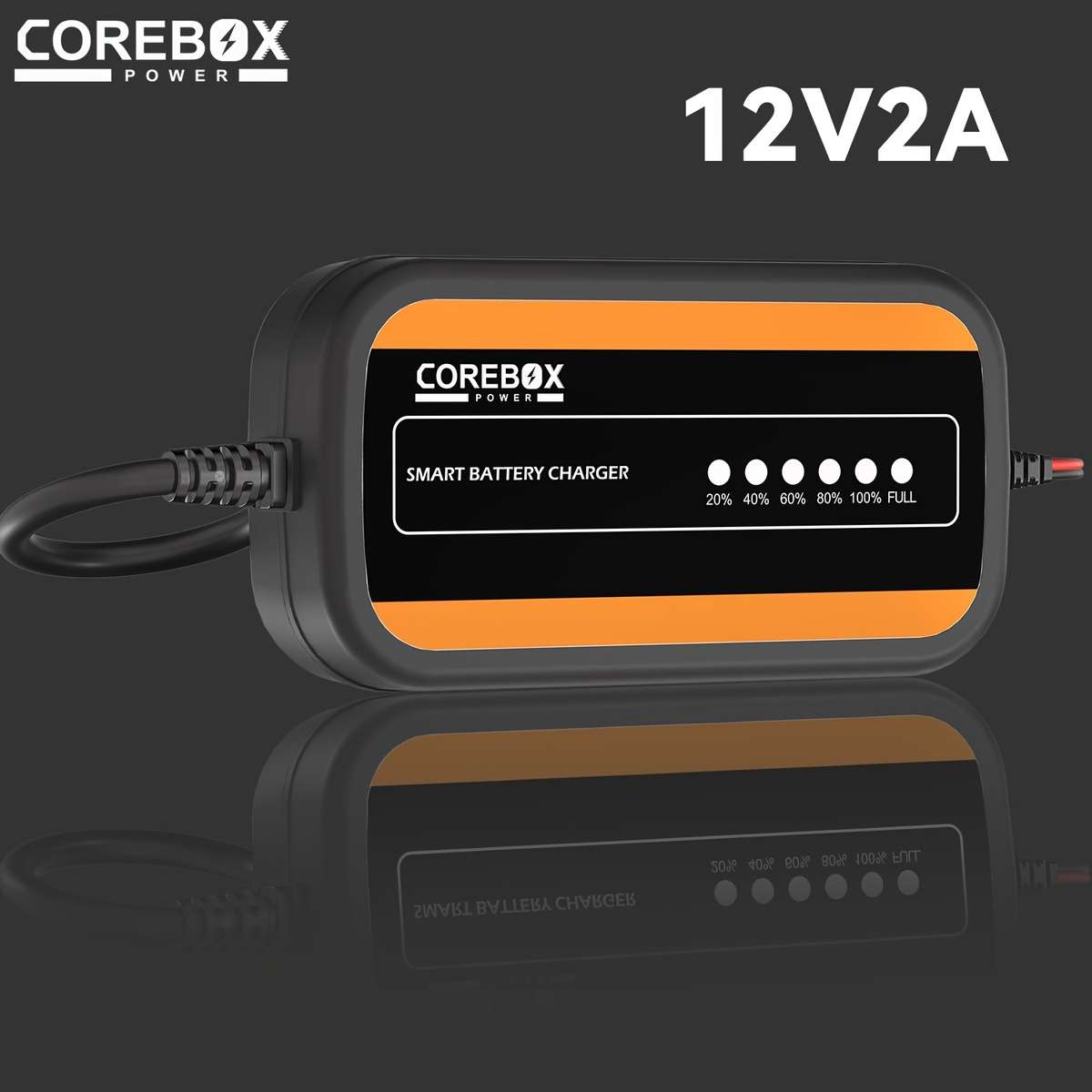 Charger Items 12V 2A