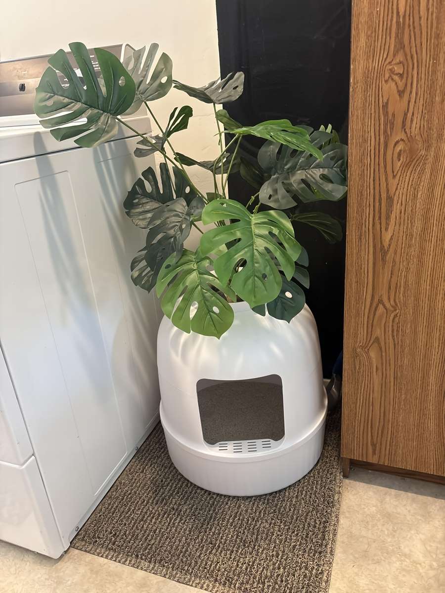 Pet supplies color Mixed Color