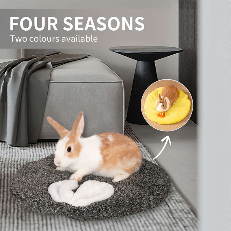 Pet supplies color Gray Rabbit