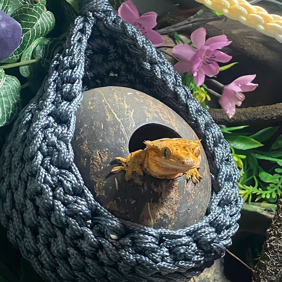 Pet Supplies Color Black