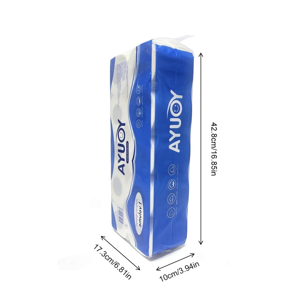 Toilet Paper Quantity 10 Rolls