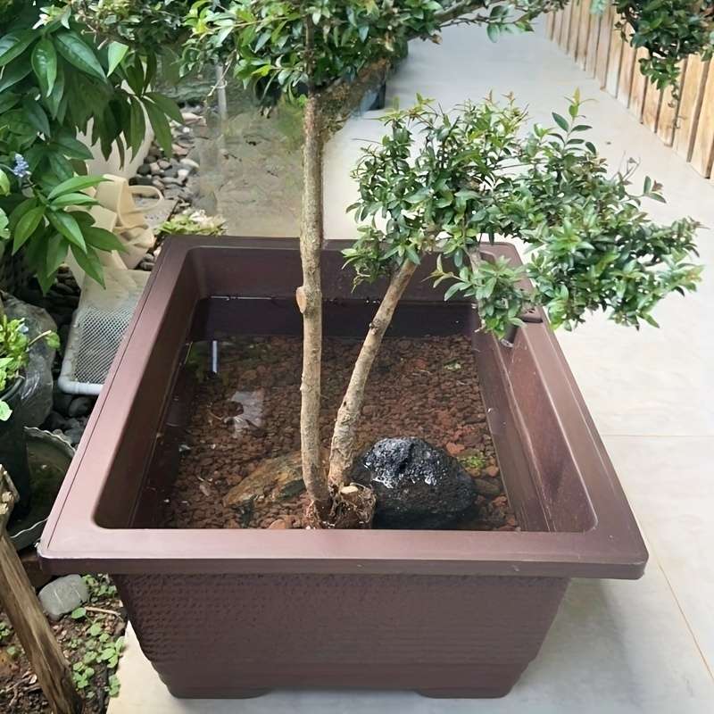 Flowerpot Model Square Basin No Hole At The Bottom 2 Pack
