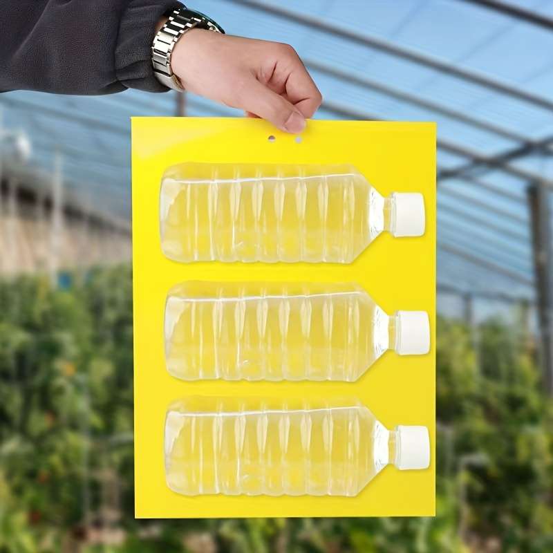 Fruit Fly Traps Size 20X10 Cm  7.87X3.94 In Quantity 50 Pcs