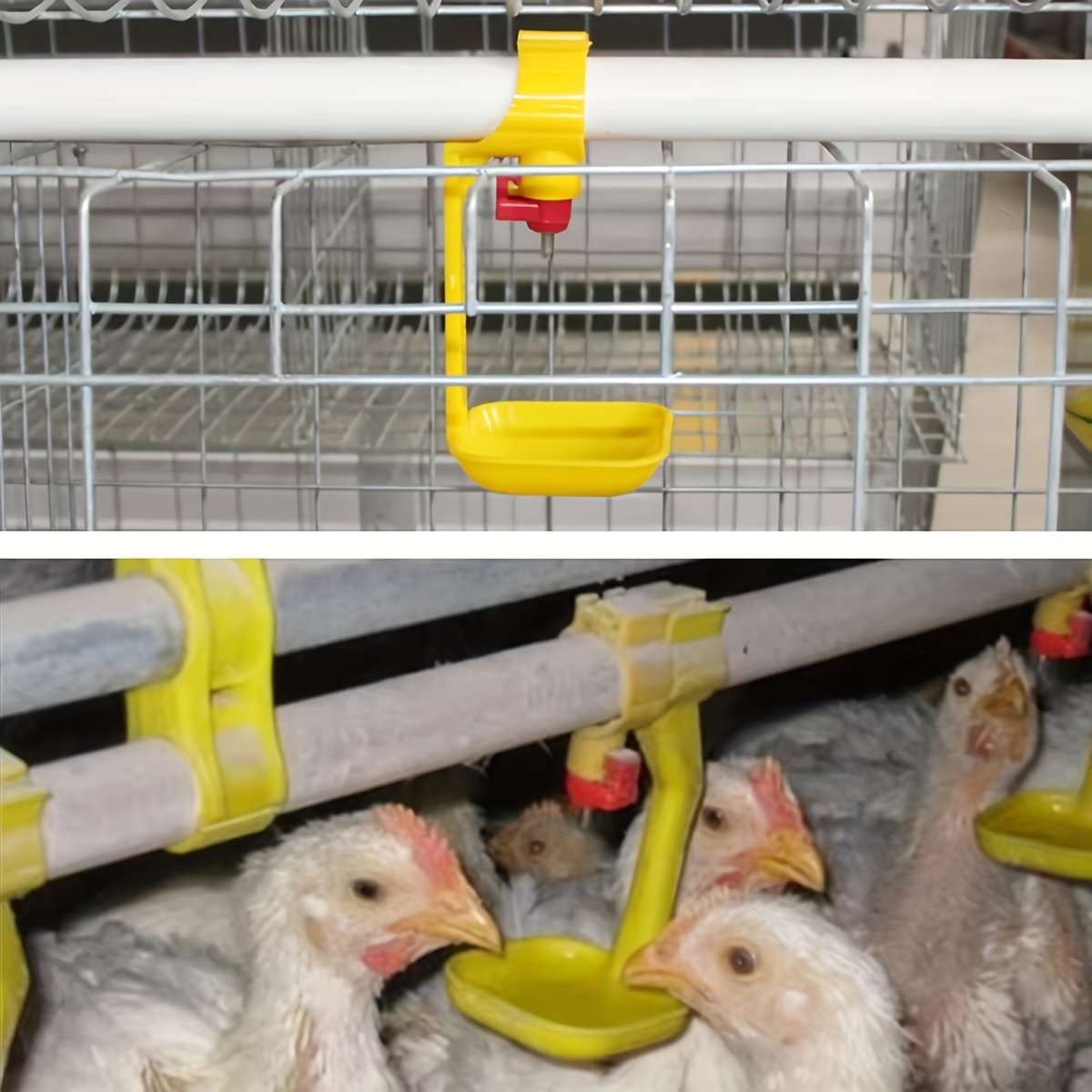 Pet Supplies Quantity 50Pcs