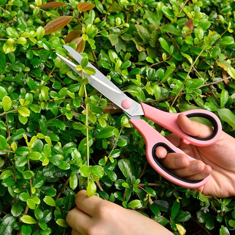 Scissors