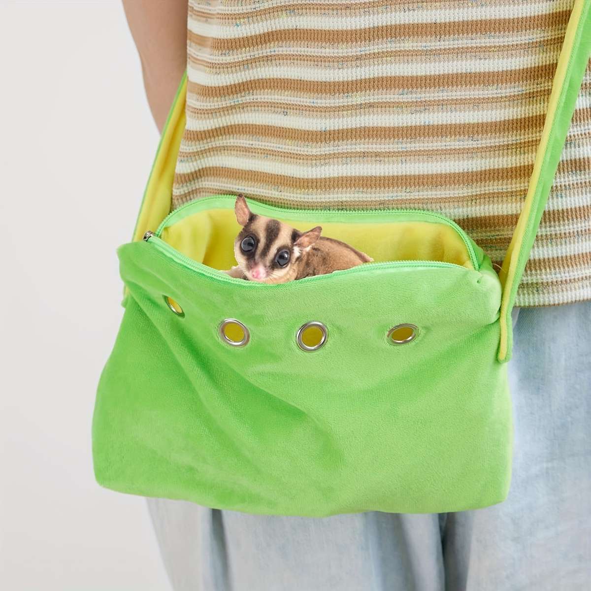 Pet Supplies Color Orange