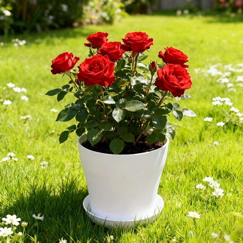 Flowerpot Size 14Cm White 5 Pack Flowerpot