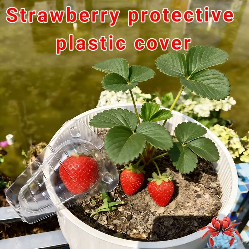 Garden Supplies Quantity 5Pcs