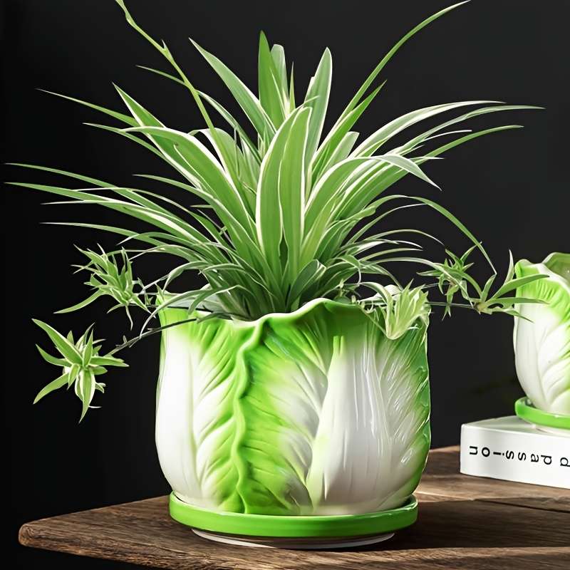 Flowerpot Model 1Pc Cabbage Flowerpot