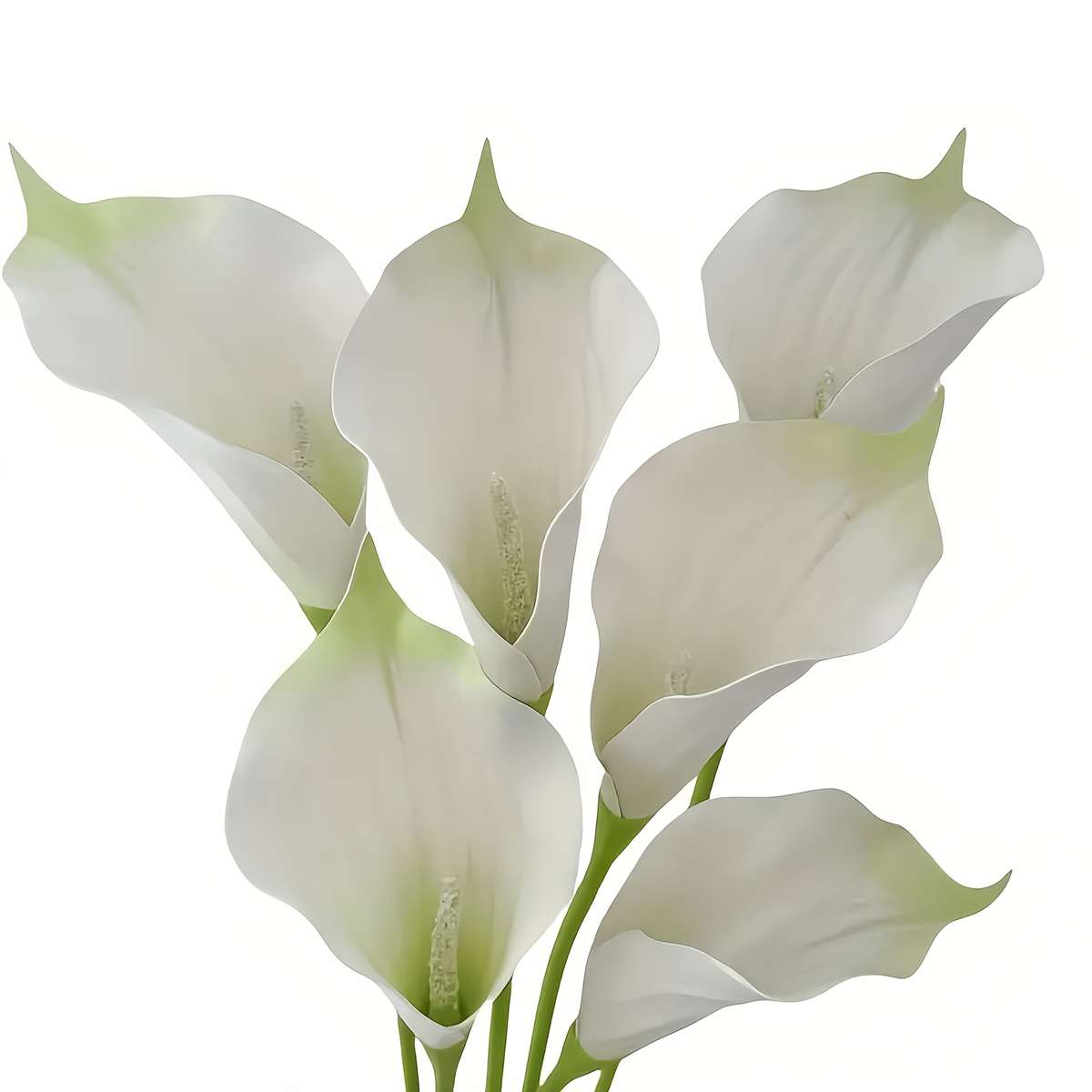 Simulated Flower Color Extra Large White 6Pcs