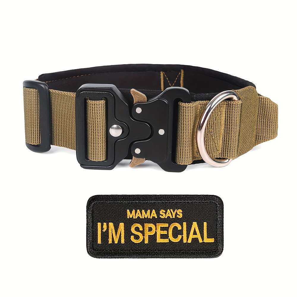 Dog Leash Color Light Brown1 Size M