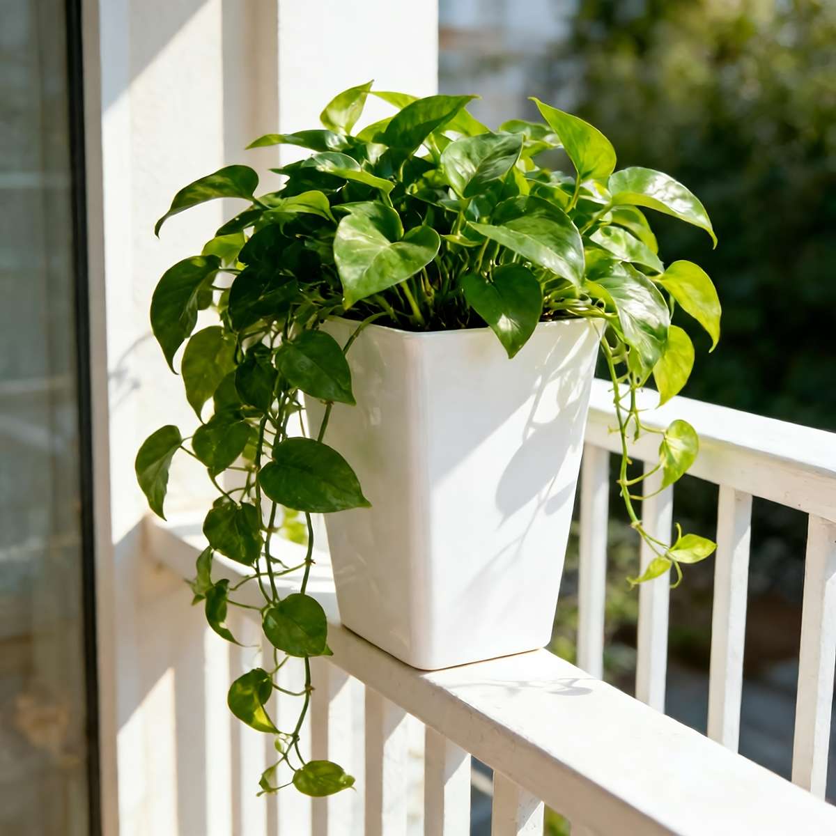 Flowerpot  1Pccolor Black