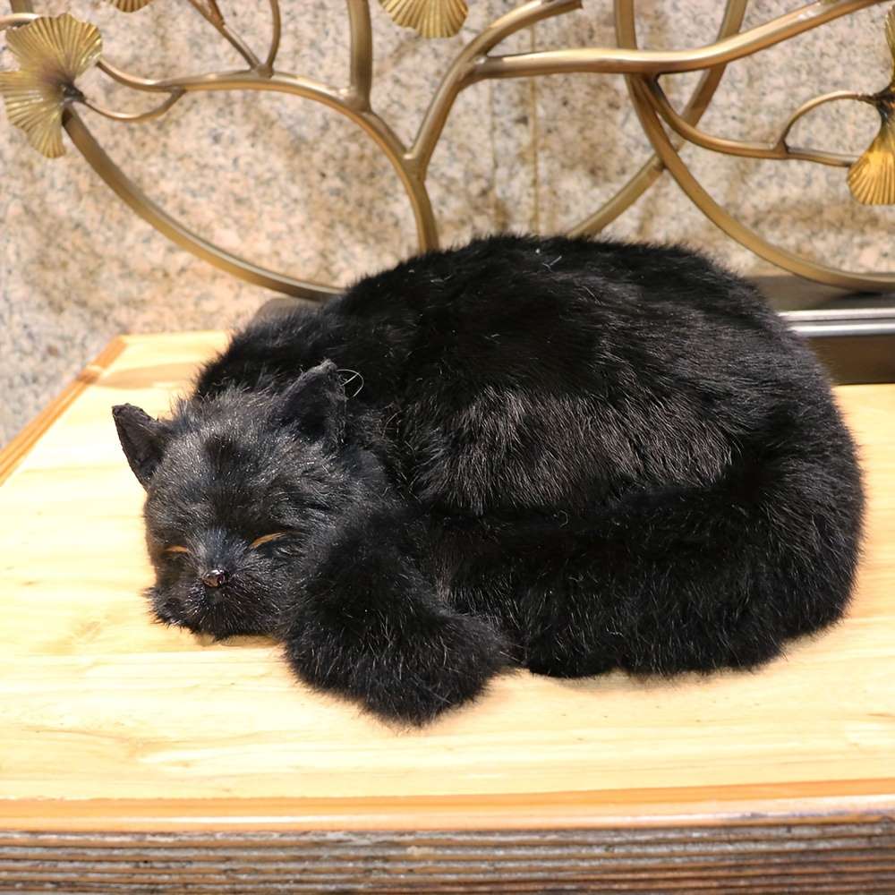 Plush Toys Color Black