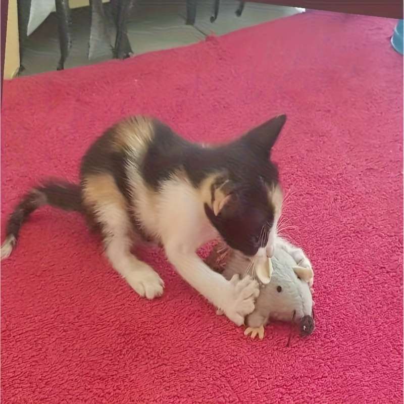 Plush Toyss Quantity 1pc