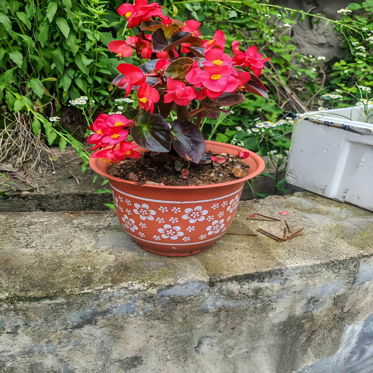 Flowerpot Color 2 Packs  Random