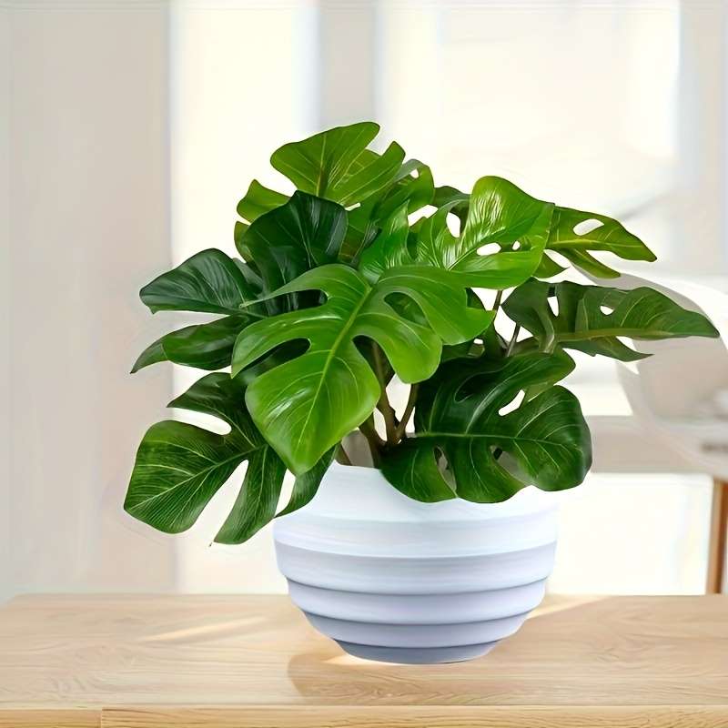 Flowerpot Quantity 1 Pot