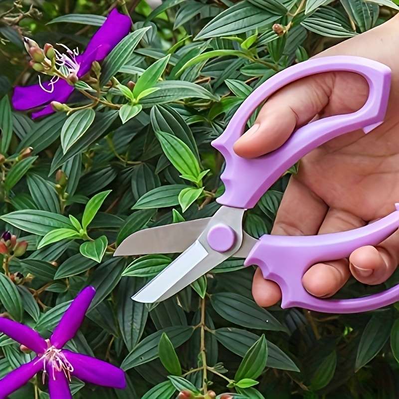 Garden Shears Color Purple
