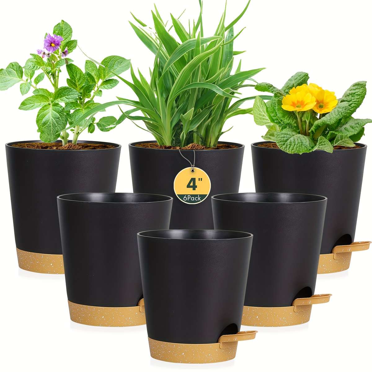 Flowerpot Color Green Brown