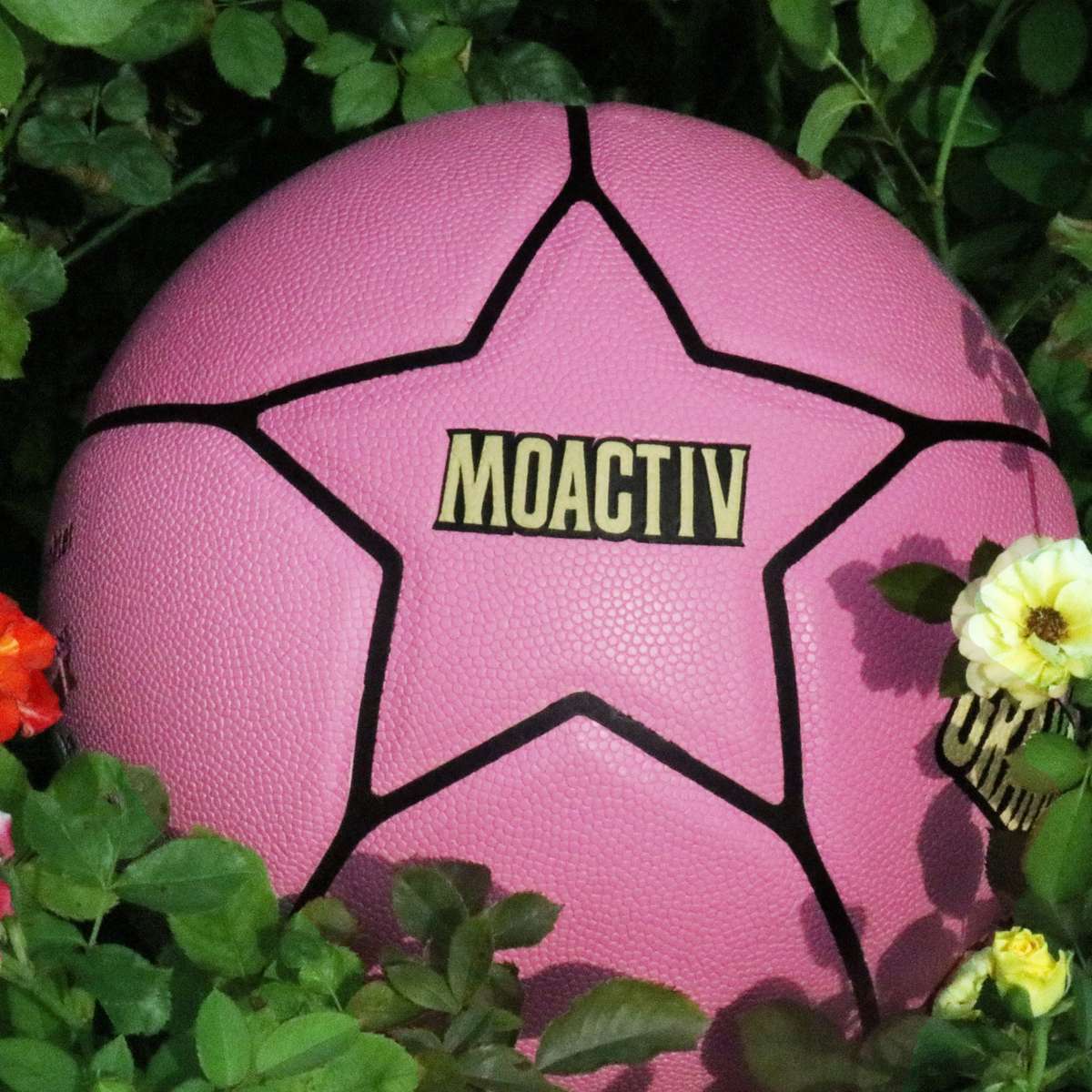 Basketball Size  Circumference In Inches Size 17.7874.93Cm