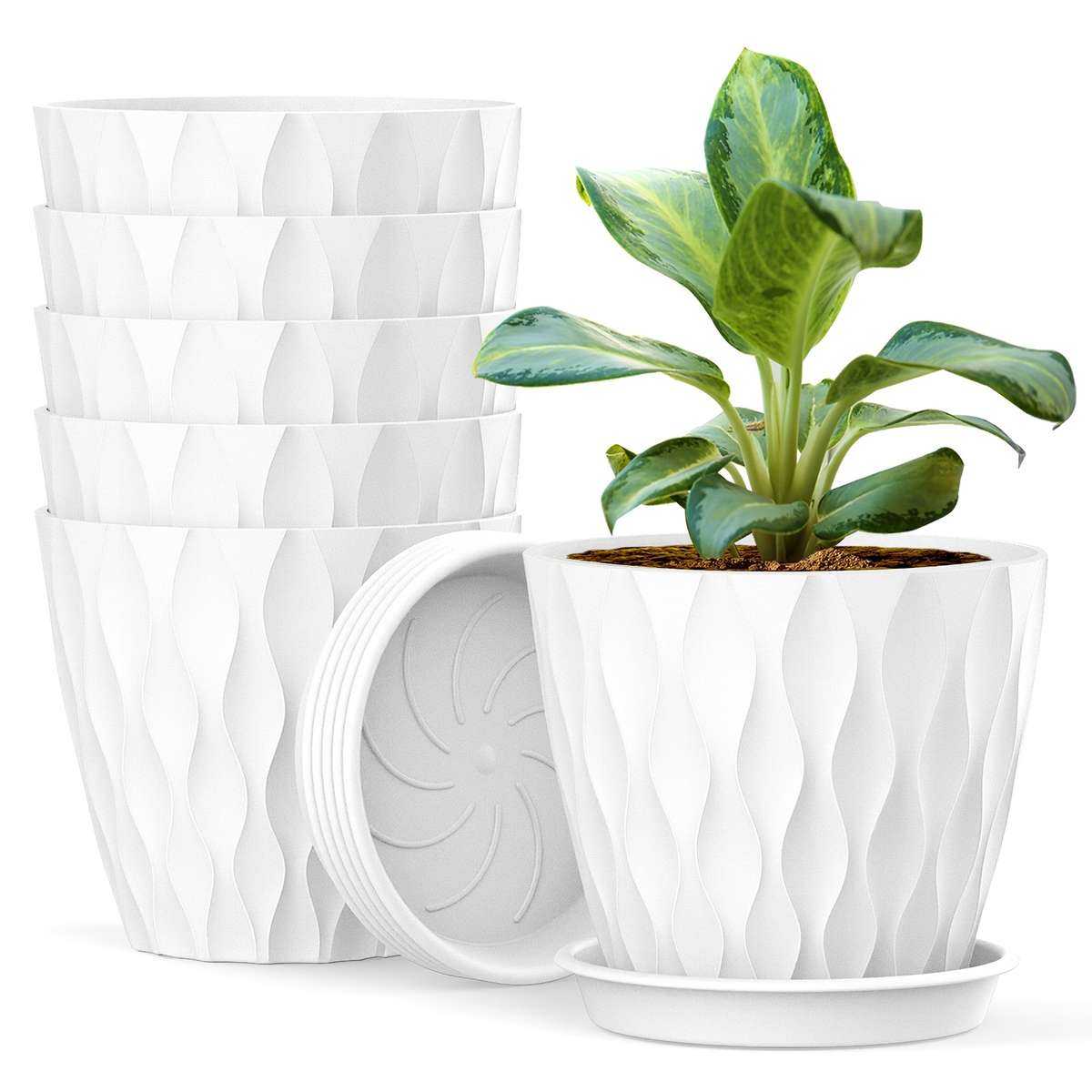 Flowerpot Color Multi Color