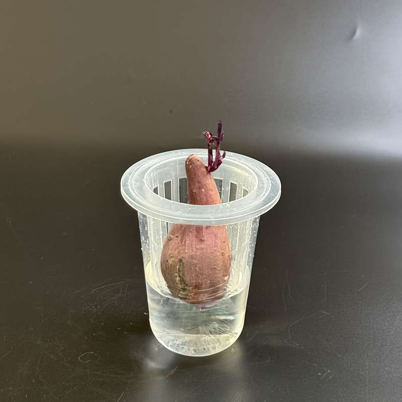 Flowerpot Quantity 3 Pcs