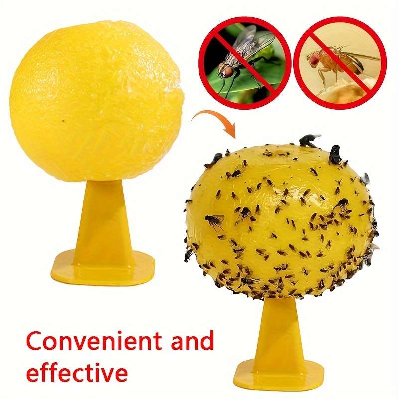 Fruit Fly Traps Items 5 Pieces Yellow With Base