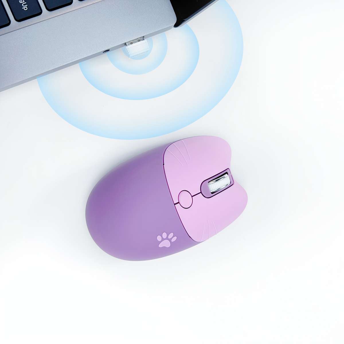 Mouse Color Purple