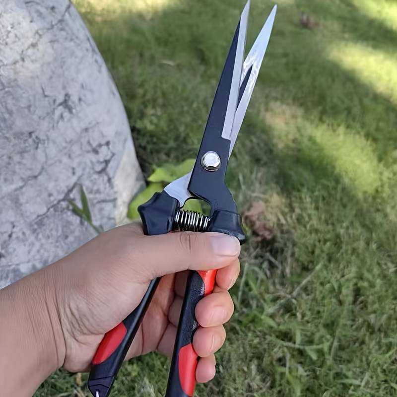 Scissors Color Red  Black