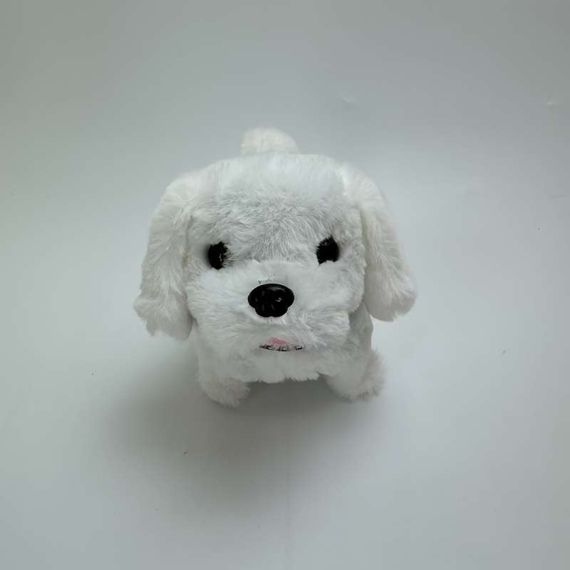 Plush Toys Color Teddy