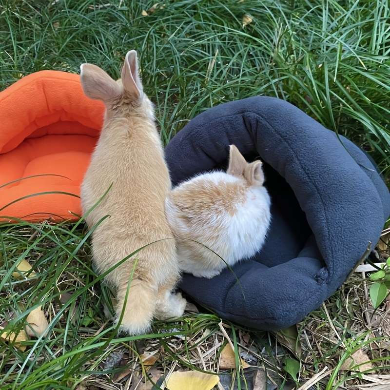 Pet supplies color Pink