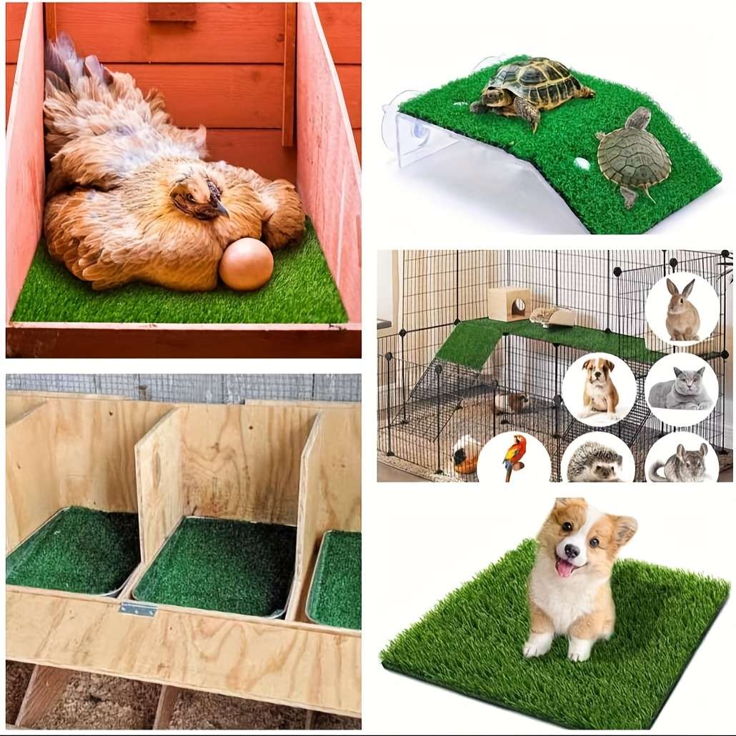 Pet Supplies Color 6Pack