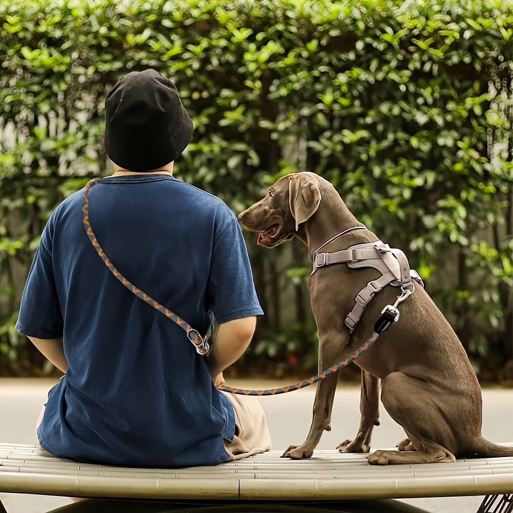 Dog Leash Color Black Size L