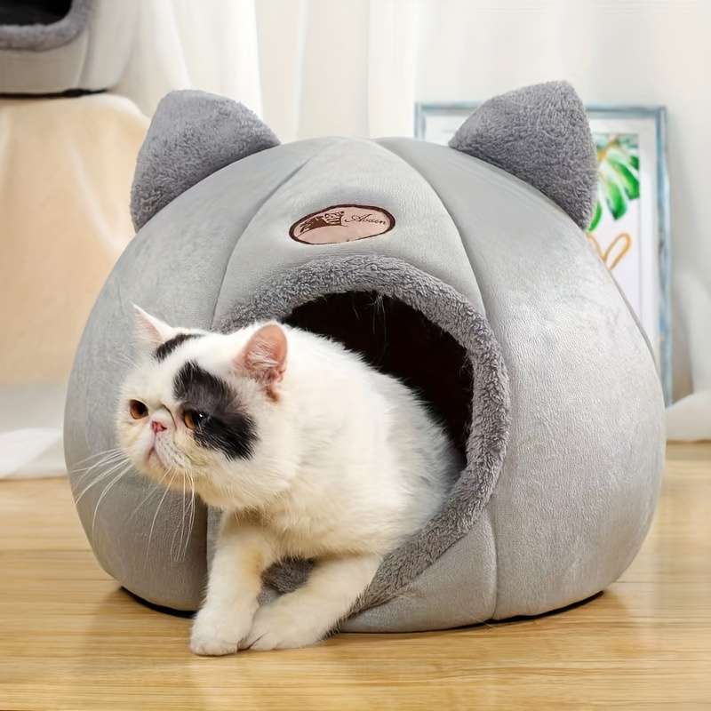 Pet supplies Model L