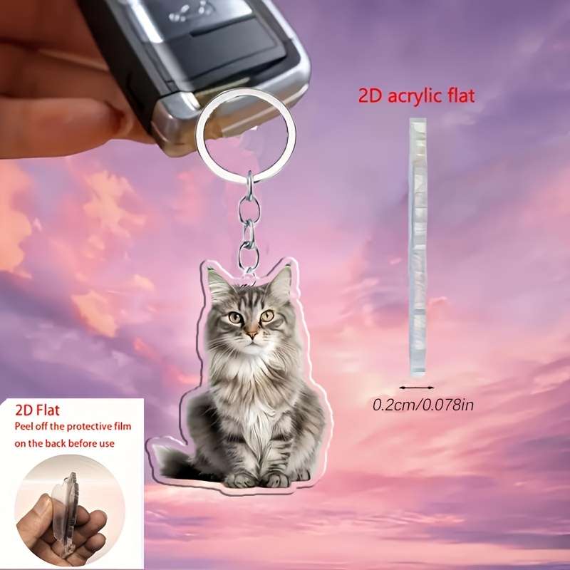 Keychain Ornament Color Cat