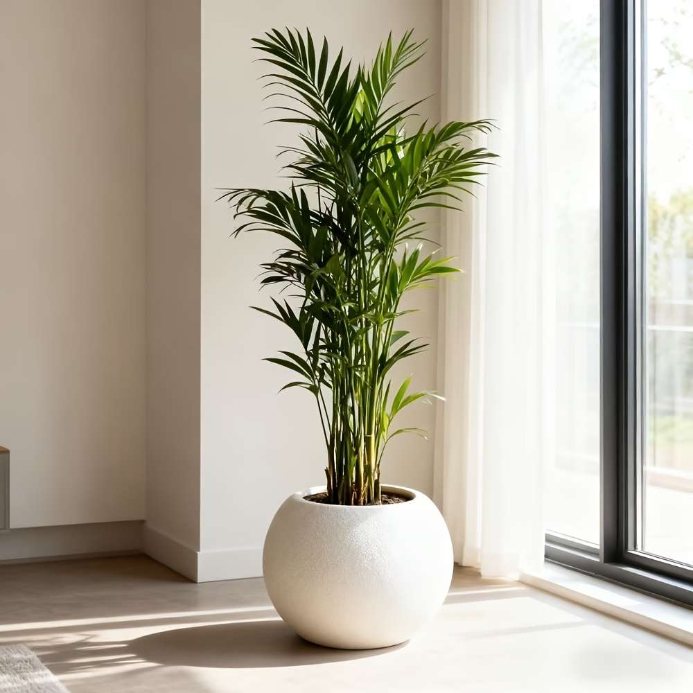 Flowerpot Color White