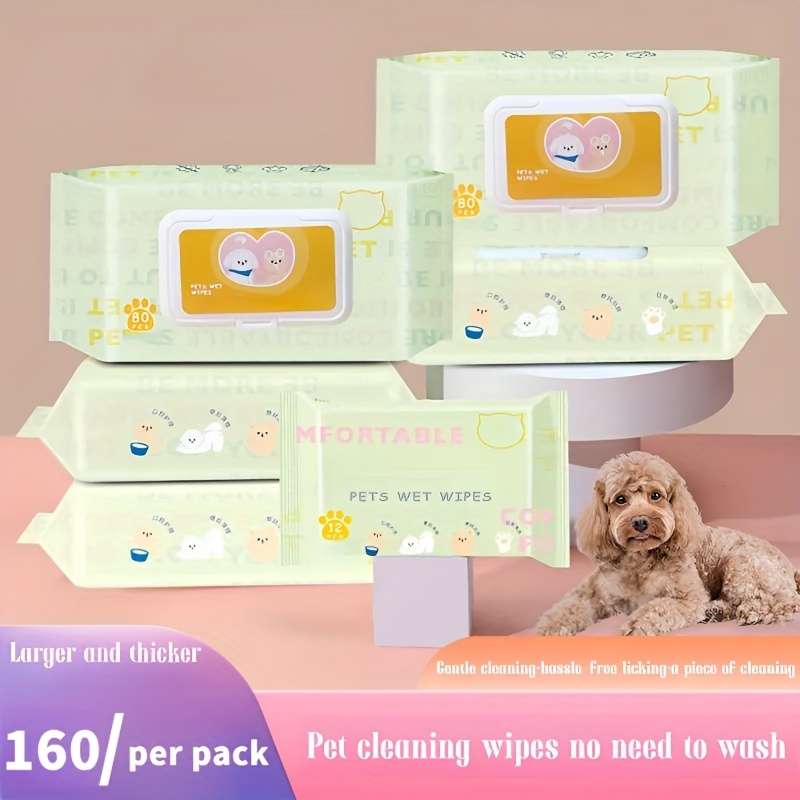Wet Wipes Items 2Packs160 Sheets