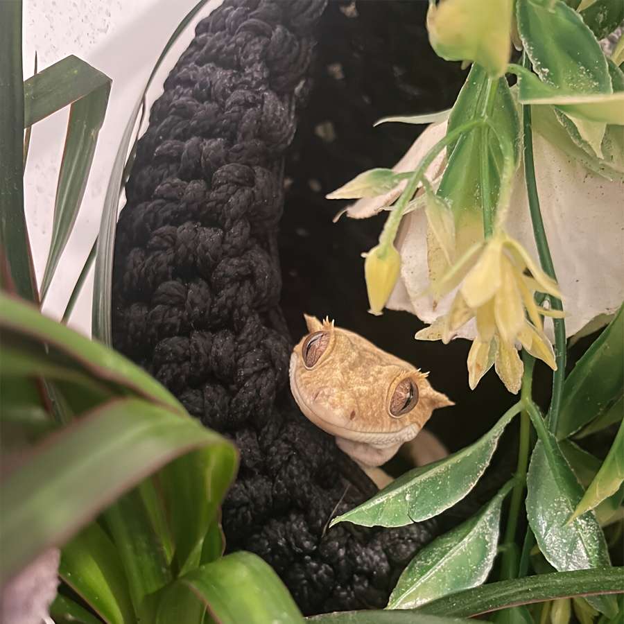 Pet Supplies Color Black