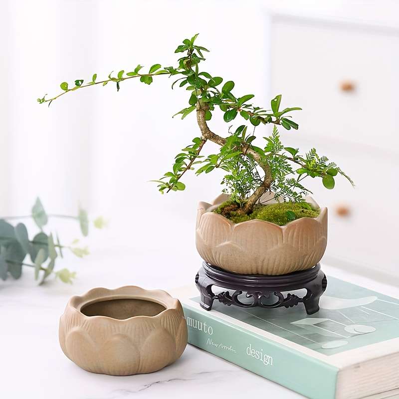 Flowerpot Quantity 2Pcs