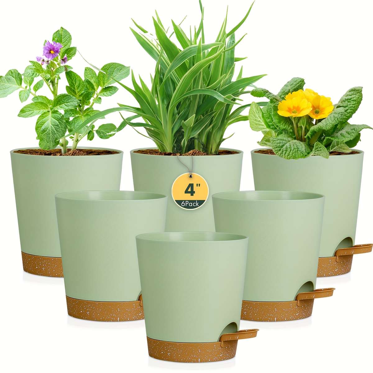 Flowerpot Color Green Brown