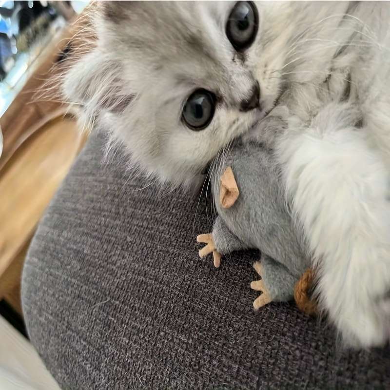 Plush Toyss Quantity 1pc