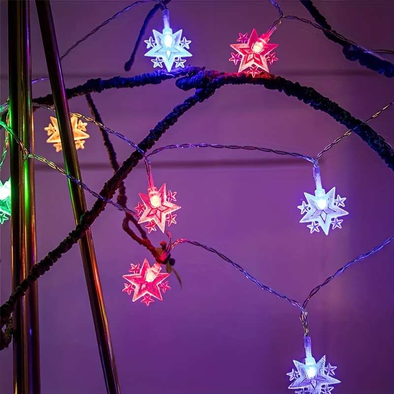 Christmas Lights 2M 78.74In 10Lamp